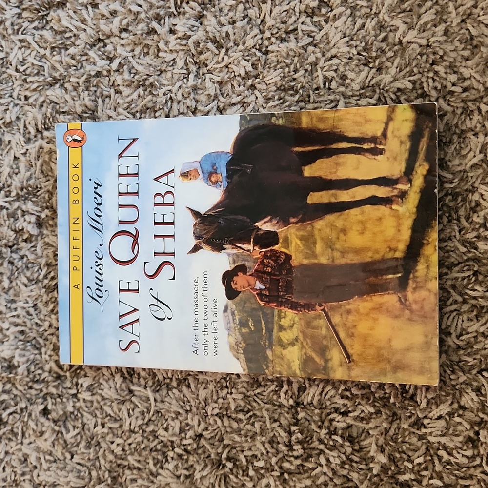 Save the Queen of Sheba Chapter book